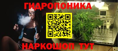 амф Балахна