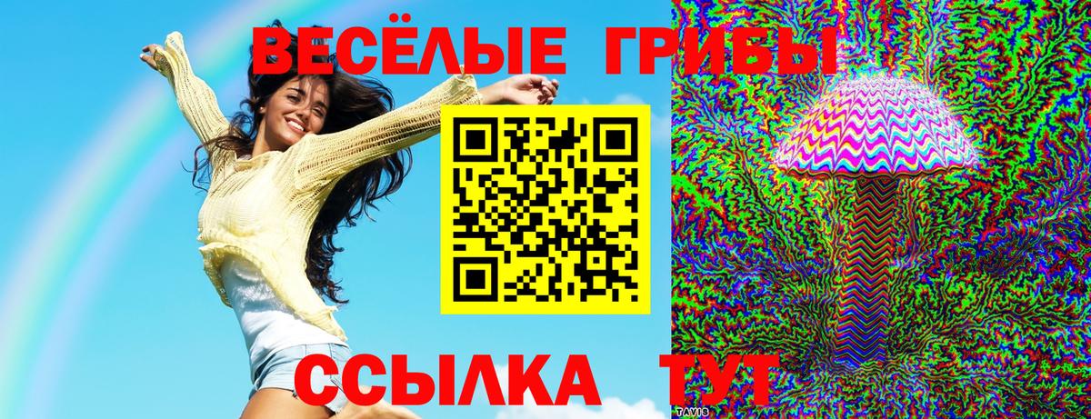 Галлюциногенные грибы GOLDEN TEACHER Волжский